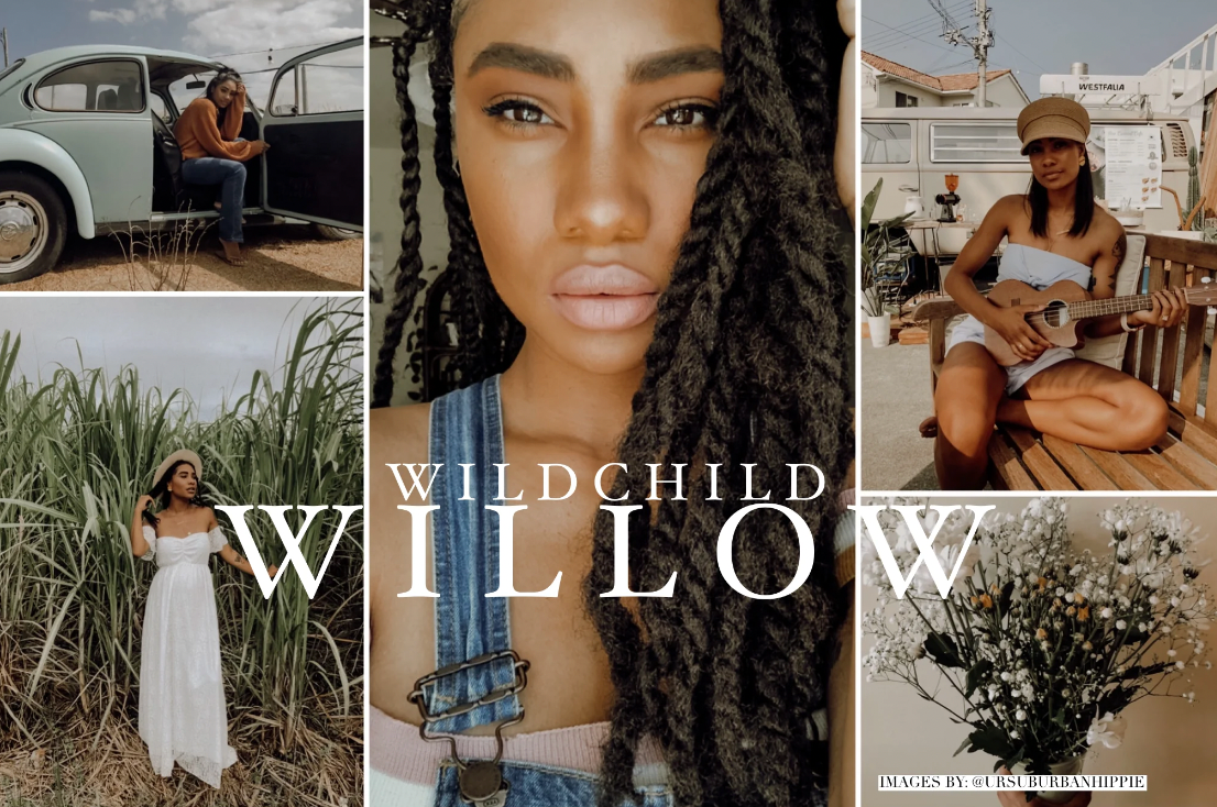 Willow Preset